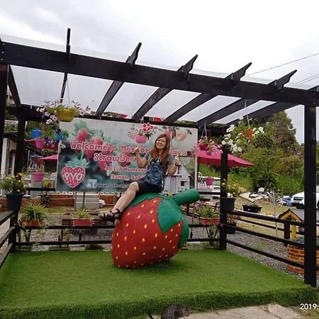 Kampong Kundassan Berries Residence المظهر الخارجي الصورة