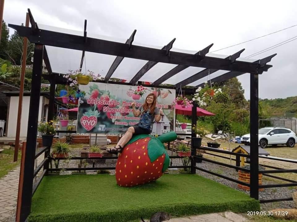 Kampong Kundassan Berries Residence المظهر الخارجي الصورة
